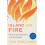 Island on Fire by Tom Zoellner Paperback Book 1