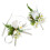 Set Boutonniere E Per , Artificiale Per Matrimonio 1