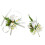 Set Boutonniere E Per , Artificiale Per Matrimonio 11