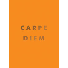 Carpe Diem by Summersdale Publishers Hardcover Book
