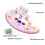 Foldable Baby Walker Musical Activity Toy 5