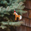 2St Xmas Hangers Bruin Plastic Kerstboom 11