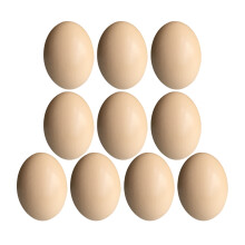 10pcs Coloring Eggs For Decorating For Painters