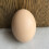 10pcs Coloring Eggs For Decorating For Painters 7