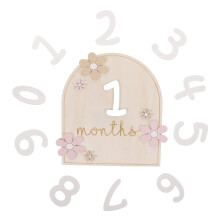 1 Set Baby Monthly Milestone Cards Wooden Double-Sided Signs