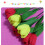 Crepe Paper Rolls Wrapping Paper Assorted Color 3 Packs 6