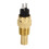 Wassertemperatursensor, 3/8NPT 3W 1