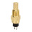 Wassertemperatursensor, 3/8NPT 3W 4