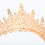 Blauwe Tiara Bruidskroon Zinklegering 8