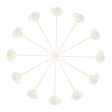 24 Stk Simulierte Blumenförmige Aroma Sticks Diffuser Weiß