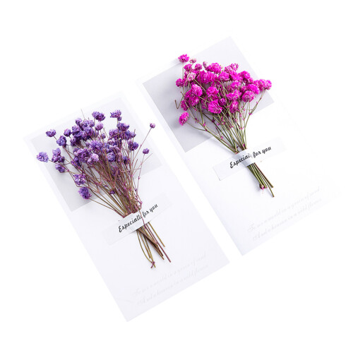 6St Dubbla Kort Torkade Blommor För Inbjudningar