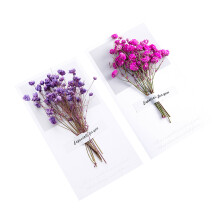 6St Hälsningskort Torkade Blommor, , Inbjudningskort