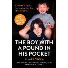 The Boy With A Pound In His Pocket by Ann Cusack Paperback Book