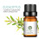 6St Eterisk Aromaterapi Hälsovård Färgmix 7