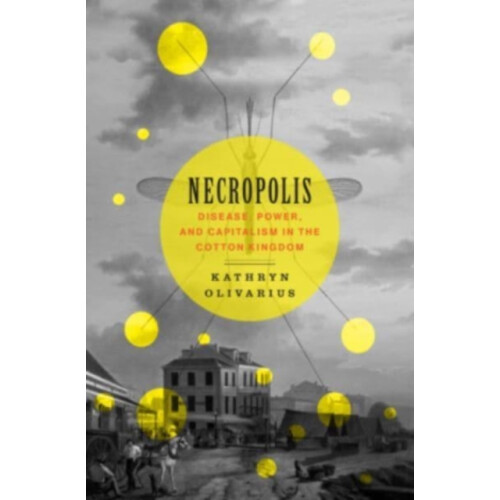 Necropolis by Kathryn Olivarius Hardcover Book