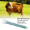 High-Quality Plastic Mixing Nozzles Perfect for Smooth Glue Application 7