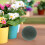 3 Pezzi Kit con Palline in Schiuma per Decorazione 3