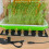 Waterproof Seedling Starter Heat Mats Foldable For Indoor-1522 3