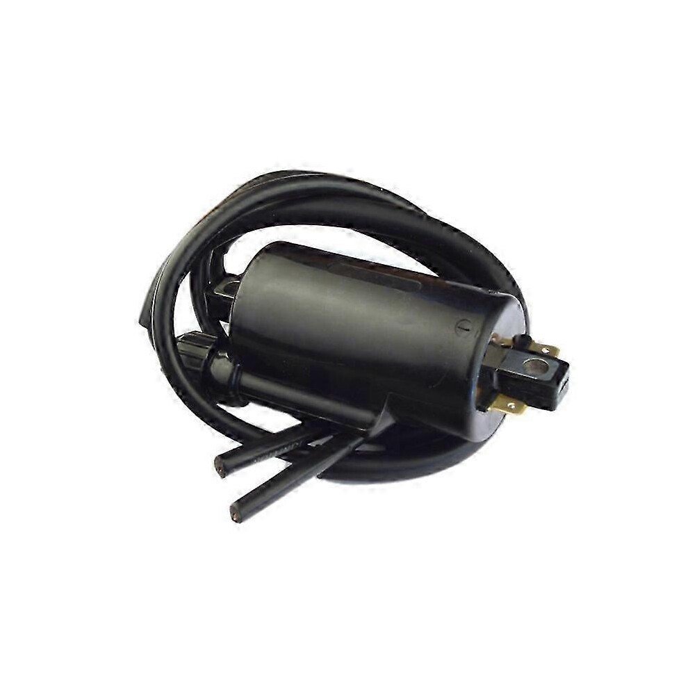 Kikidex (As Show, One Size) Ignition Coil For Kawasaki Kz1000 Kz1100 Honda Cb1000c Cb1100f Cb650