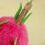 Jouet à mâcher en forme de Fruit pour animaux de-pitaya 4