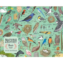 Nature Anatomy Birds Puzzle 500 pieces by Julia Rothman Other Book