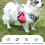 Support de sac à excréments de chien résistant aux-rose rouge 6