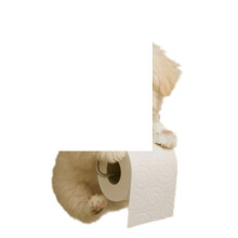 Elegant Dog Design Resin Tissue Dispenser Versatile Bathroom-2
