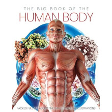 The Big Book of the Human body by Katherine Marsh Hardcover Book