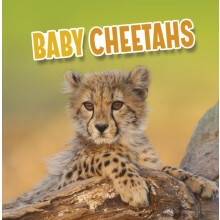 Baby Cheetahs by Martha E. H. Rustad Paperback Book