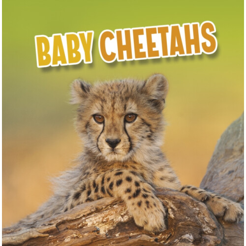 Baby Cheetahs by Martha E. H. Rustad Paperback Book