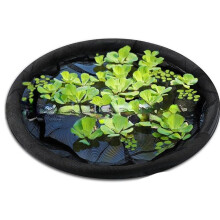 Black Plant Guard Meshing Floating Flower Fish Barrier-80cm