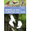 Birds of Bali Sumatra and Java by Tony Tilford Paperback Book 1