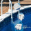 Stable Swim Support Deck Mount Ren Pool Ladder Pool Ladder Deck Mount 2