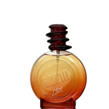 Beverly Hills 90210 Hot Eau De Toilette Spray 100ML (Vintage Item) For Women