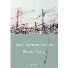 Walking Occupations by Phoebe Wang Paperback Book