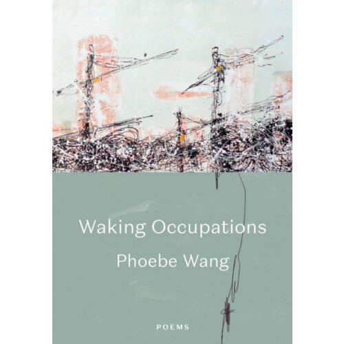 Walking Occupations by Phoebe Wang Paperback Book