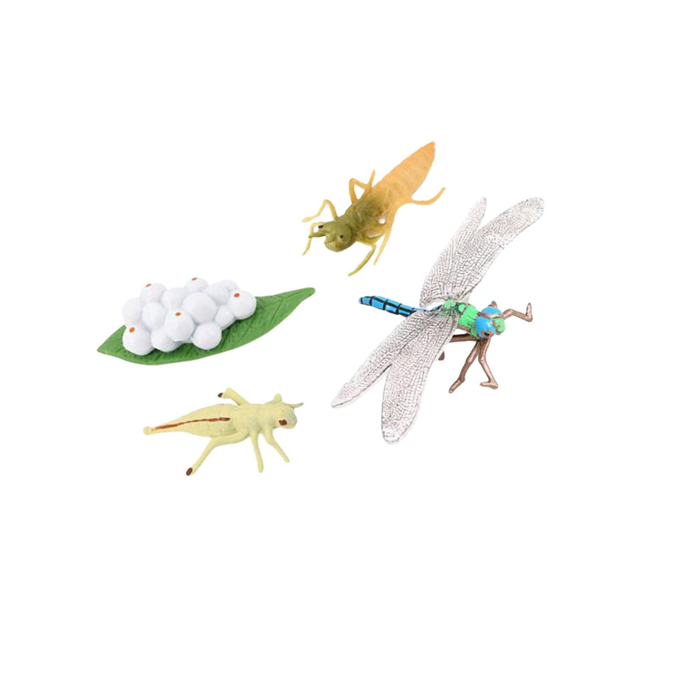 (Dragonfly) Simulation Life Cycle Figurines Figures for Party Favors Kids-image-OPC-PMQ9MGN-NEW