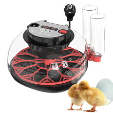 Incubators For Hatching Eggs Chicken Egg Incubator Transparent Cover LED Lighting Chicken And Duck Eggs Compatible