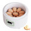 Incubator for Chicken Eggs, 9-Egg Capacity Hatching Machine, Compact and Intelligent Egg Incubator 1