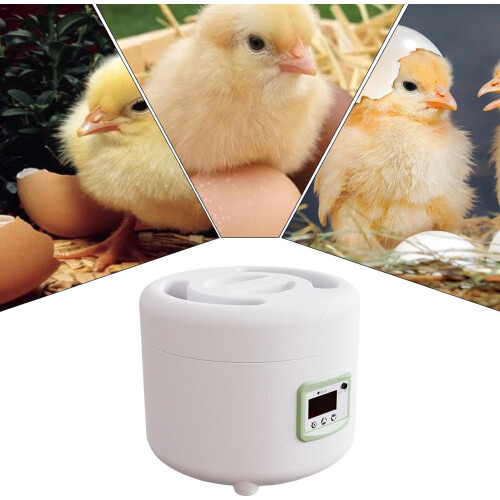 Incubator for Chicken Eggs, 9-Egg Capacity Hatching Machine, Compact and Intelligent Egg Incubator 2