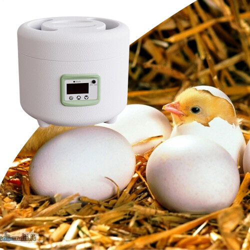 Incubator for Chicken Eggs, 9-Egg Capacity Hatching Machine, Compact and Intelligent Egg Incubator 1