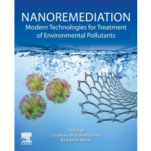 Nanoremediation Paperback Book