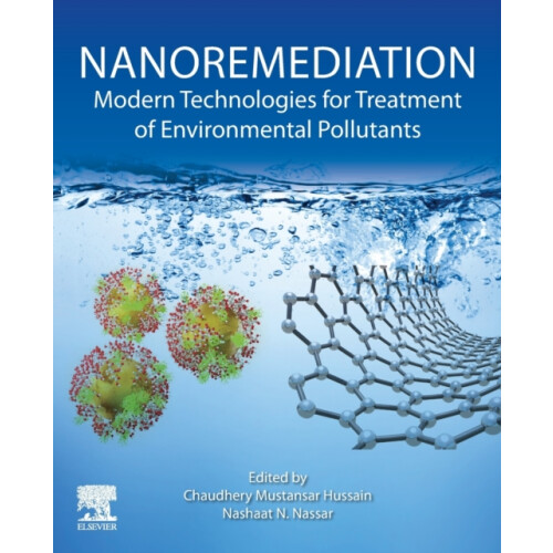 Nanoremediation Paperback Book