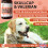 Petastical Skullcap Valerian, Cat Dog Calming Drops (30ml) 2