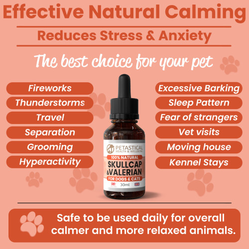 Petastical Skullcap Valerian, Cat Dog Calming Drops (30ml) 2