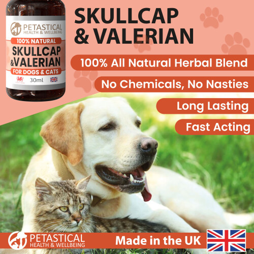 Petastical Skullcap Valerian, Cat Dog Calming Drops (60ml) 1