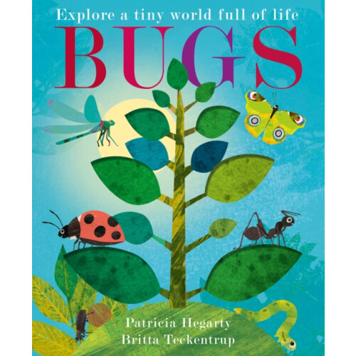 Bugs by Patricia Hegarty Hardcover Book