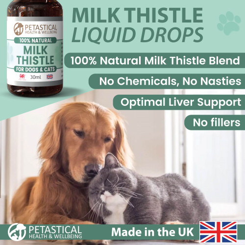 Petastical Milk Thistle for Dogs Cats (30ml) 1
