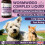 Petastical Wormwood for Dogs Cats (30ml) 2