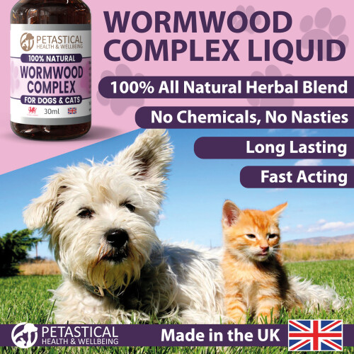 Petastical Wormwood for Dogs Cats (30ml) 1